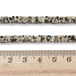 Natural Dalmatian Jasper Beads Strands&nbsp;G-I394-A03