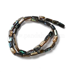 Natural Paua Shell Beads Strands&nbsp;SSHEL-B002-14