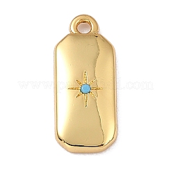 Brass Micro Pave Cubic Zirconia Charms&nbsp;ZIRC-I054-12G