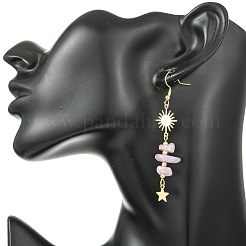 304 Stainless Steel Dangle Earrings&nbsp;EJEW-JE07301-01