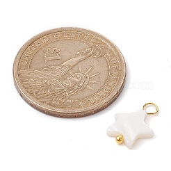 Natural Freshwater Shell Pendants&nbsp;PALLOY-JF02416-02