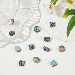 12pcs 3 styles Natural Abalone Shell/Paua Shell Beads Strands&nbsp;SHEL-WR0001-03