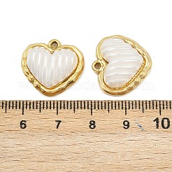 ABS Plastic Pendants&nbsp;STAS-P419-06G