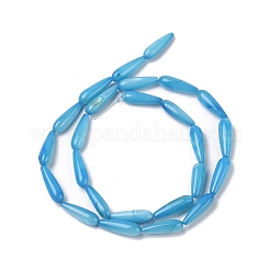 Natural Freshwater Shell Beads Strands&nbsp;SHEL-A004-03C