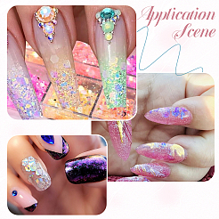 2 Bags 2 Colors 12 Grid Nail Art PET & ABS Sequins/Paillette&nbsp;MRMJ-SP0001-32