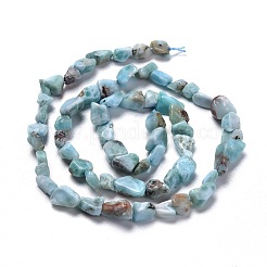 Natural Larimar Beads Strands&nbsp;G-K203-91