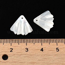 Natural White Shell Charms&nbsp;SSHEL-M022-08