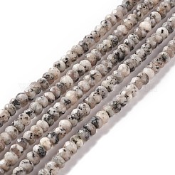 Dyed Natural Sesame Jasper/Kiwi Jasper Rondelle Beads Strands&nbsp;G-E316-A