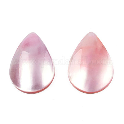 Natural Turbo Cornulus/Top Shells Cabochons&nbsp;SSHEL-N003-157B-1