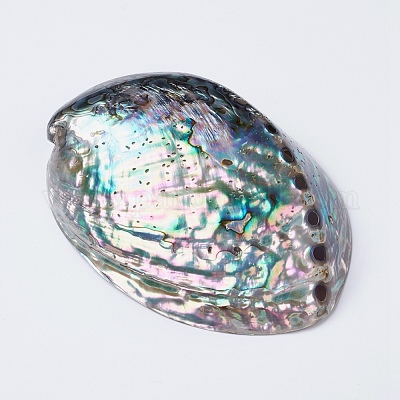 Natural Abalone Shell/Paua ShellDecoration&nbsp;SSHEL-K024-01B-1