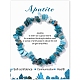 Natural Apatite Chips Beaded Stretch Bracelets&nbsp;PW-WG309C1-03-1