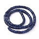 Shell Beads Strands&nbsp;X-SSHEL-E571-49F-3