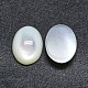 Shell Cabochons&nbsp;SSHEL-P015-59F-2