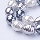Shell Pearl Beads Strands&nbsp;BSHE-P030-03C-3