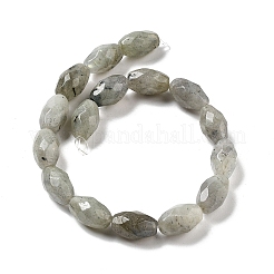 Natural Labradorite Beads Strands&nbsp;G-P520-C08-01