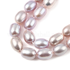 Natural Cultured Freshwater Pearl Beads Strands&nbsp;PEAR-I007-01A-03C