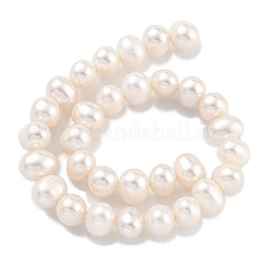 Natural Cultured Freshwater Pearl Beads Strands&nbsp;PEAR-C003-26