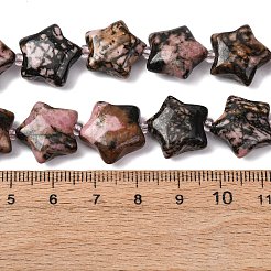 Natural Rhodonite Beads Strands&nbsp;G-K359-E08