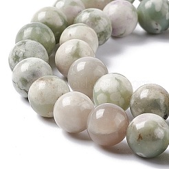 Natural Peace Jade Beads Strands&nbsp;G-G905-07