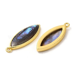 Natural Paua Shell Pendants&nbsp;KK-E059-13G