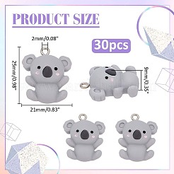 30Pcs Resin Pendants&nbsp;RESI-WR0001-16