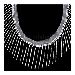 2 Yards Polyester Tassel Lace Ribbon&nbsp;OCOR-PH0006-48A