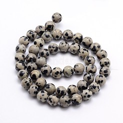 Natural Dalmatian Jasper Round Bead Strands&nbsp;X-G-J303-19-8mm