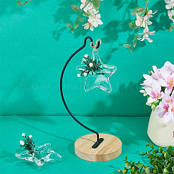 Glass Hanging Hydroponic Vases&nbsp;AJEW-WH0752-086B
