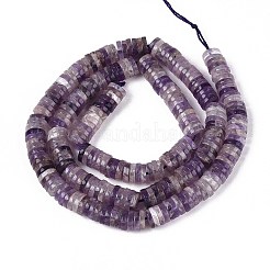 Natural Amethyst Beads Strands&nbsp;G-T142-6mm-12