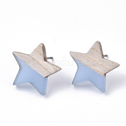 Transparent Resin & Wood Stud Earrings&nbsp;EJEW-N017-001A-D01