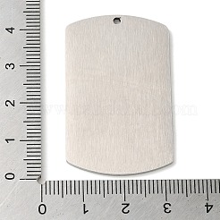 Non-Tarnish 304 Stainless Steel Pendants&nbsp;LS-STAS-C098-01C-P