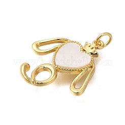 Rack Plating Brass Pave Natural Shell Pendants&nbsp;ZIRC-F142-05G