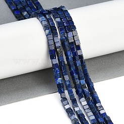 Dyed Natural Lapis Lazuli Beads Strands&nbsp;G-B129-A18-01
