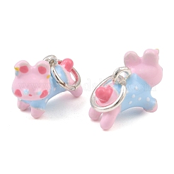 Alloy with Enamel Charms&nbsp;AL-CBA1FD3-06S-02