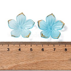 Transparent Acrylic Bead Caps&nbsp;TACR-P011-03C