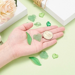 60Pcs 6 Style Transparent & Frosted & Opaque Acrylic Pendants&nbsp;FACR-YW0001-01