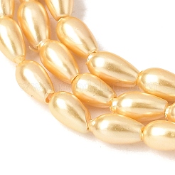 Electroplated Shell Pearl Beads Strands&nbsp;BSHE-C010-01A