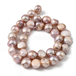 Natural Cultured Freshwater Pearl Beads Strands&nbsp;PEAR-P064-19L-04D