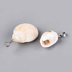 Brass & Natural Spiral Shell Pendants&nbsp;SHEL-Q029-13P