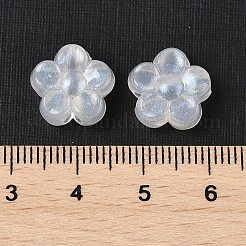 Transparent Acrylic Beads&nbsp;TACR-F009-05