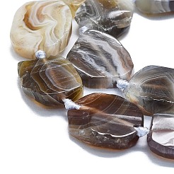 Natural Botswana Agate Beads Strands&nbsp;G-K245-J10-C01