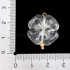 Transparent Acrylic & Stainless Steel Pendants&nbsp;TACR-G051-01G-02