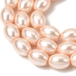 Electroplated Shell Pearl Beads Strands&nbsp;BSHE-B008-07B