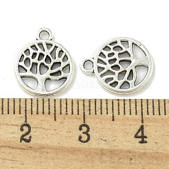 Tibetan Style Alloy Pendants &nbsp;TIBE-I026-5990AS