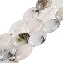 Dyed Natural White Jade Beads Strands&nbsp;G-N370-01A-18