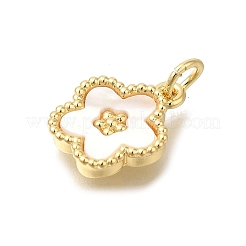 Brass Shell Pendants&nbsp;X-KK-R002-12G