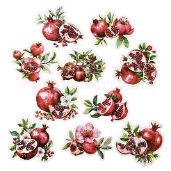 10Pcs Fruit PET Self-Adhesive Stickers&nbsp;DIY-K074-08B