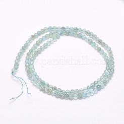 Natural Apatite Beads Strands&nbsp;G-I156-05-2mm
