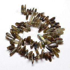 Natural Labradorite Chip Beads Strands&nbsp;G-E271-17