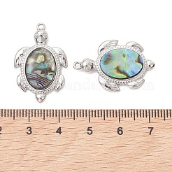 Natural Paua Shell Epoxy Resin Pendants&nbsp;PALLOY-JF05271-02